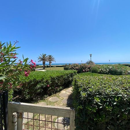 Appartement Les Pieds Dans L'Eau à Canet-en-Roussillon Extérieur photo