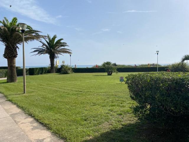 Appartement Les Pieds Dans L'Eau à Canet-en-Roussillon Extérieur photo